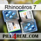 Rhinocéros 7 viagra5